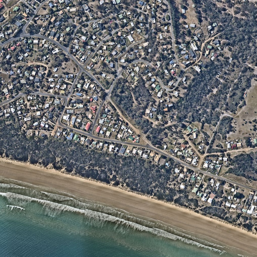 Carlton Beach, February 2024.