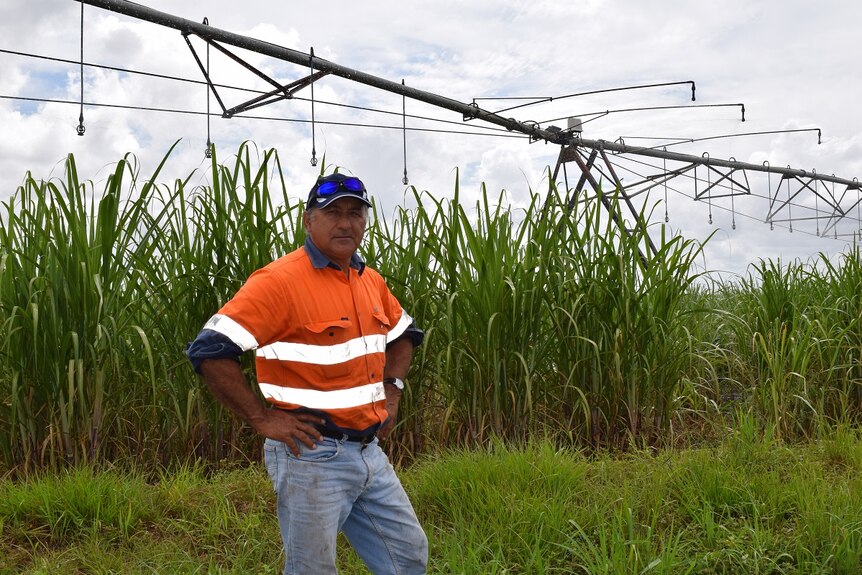 A farmer wearing an orange shirt stands in his cane field with an irrigator in the background