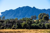 A tall rocky mountain stands behind green trees against a blue sky