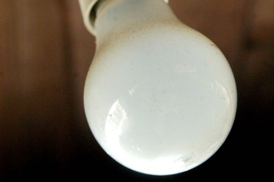 A light bulb hangs in its fixture