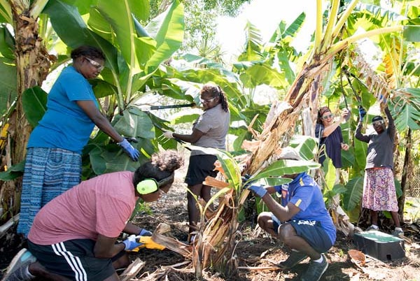 Five Indigenous women working with the new skills acquired from their VET Horticulture course