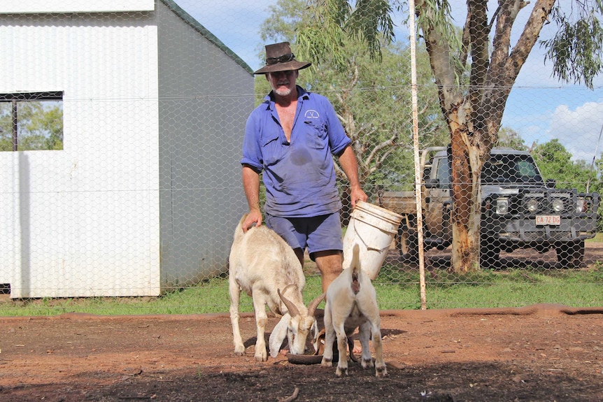 A man wearing a hat and blue work clothes, with two goats.