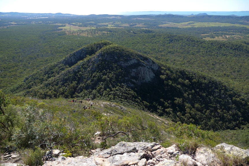 Hikers like ants on a mountain, ocean and trees and background.