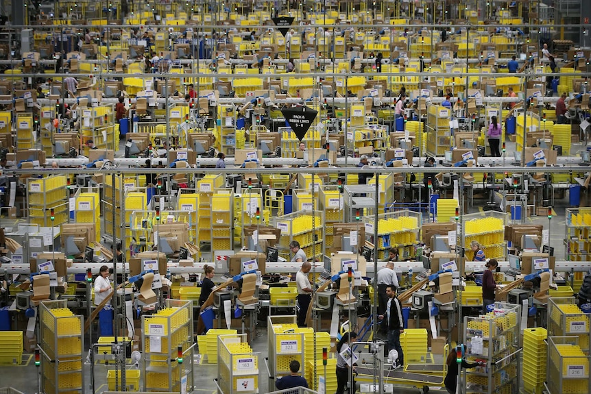 SINGLE USE ONLY: Amazon warehouse