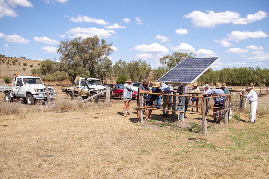 More than a dozen farmers gather around a bore on a Kulpi farm in September 2019.