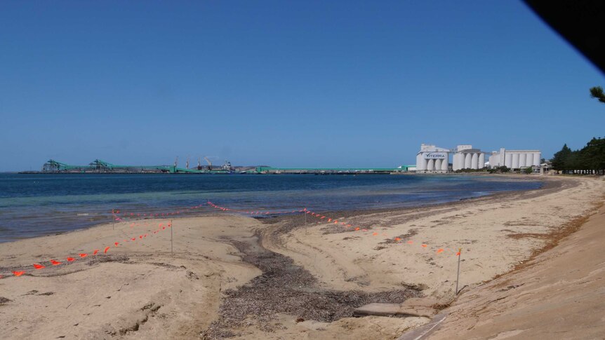 Port Lincoln's foreshore with silos in the background.
