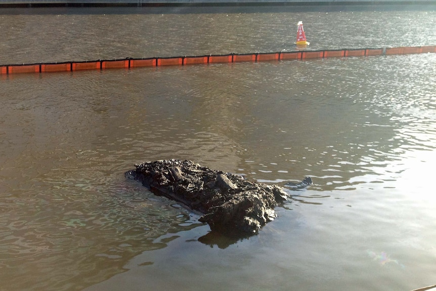 Charred remains of boat that burned in Melbourne's Docklands March 21, 2012