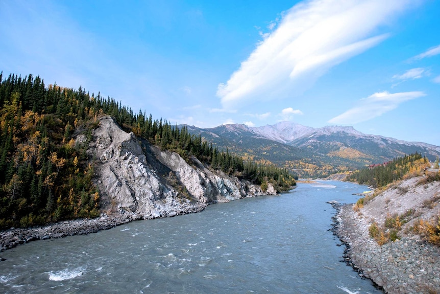 Pine trees line a hill next to a river with mountains in the distance.