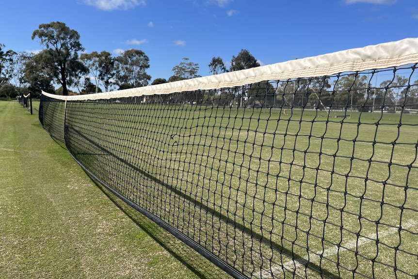 A close-up of a tennis next with a grass tennis court below and blue sky visible above it