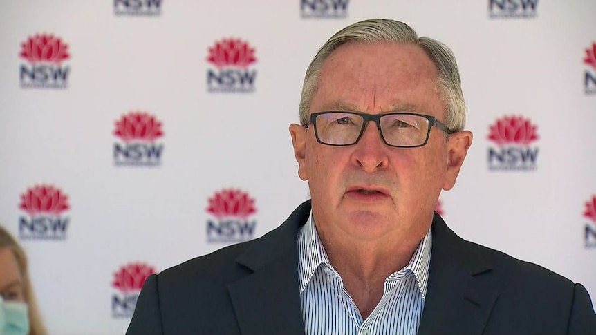 NSW Health Minister Brad Hazzard warns 'wacko views' could derail COVID-19 recovery - ABC News