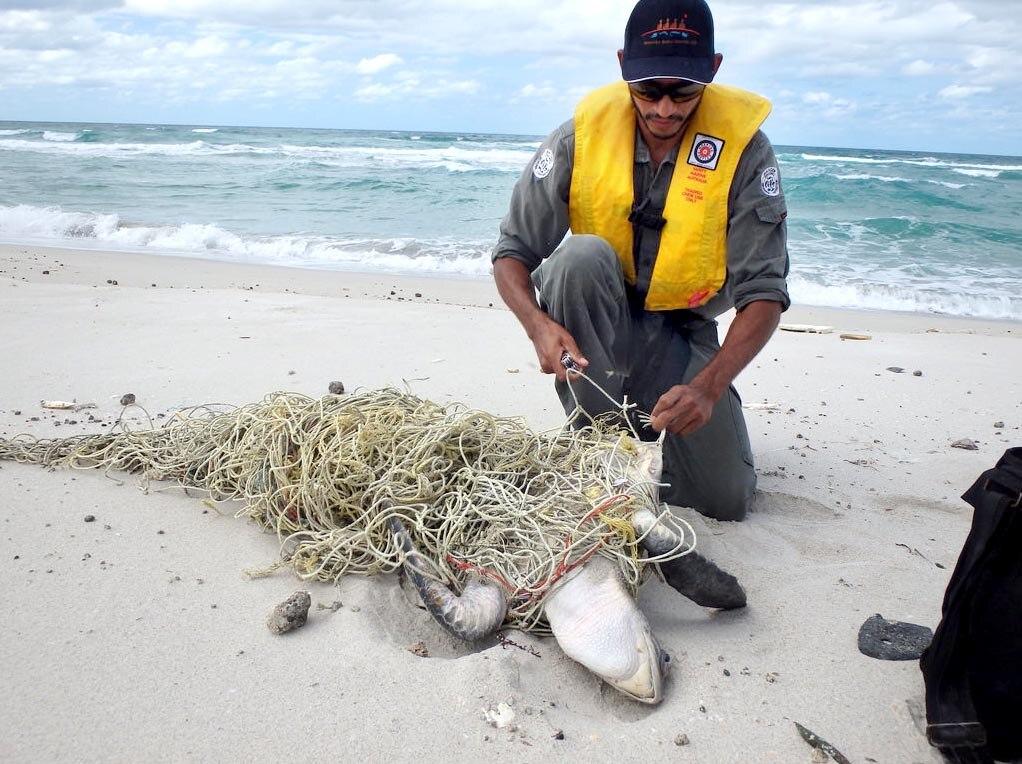 Indigenous rangers call for job numbers to double - ABC News