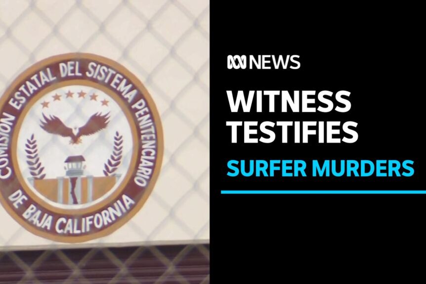 Witness Testifies, Surfer Murders: A coat of arms for a Mexican court viewed through wire.