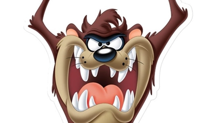 Popularity of Tasmanian devil cartoon character helps researchers raise  funds to save species - ABC News