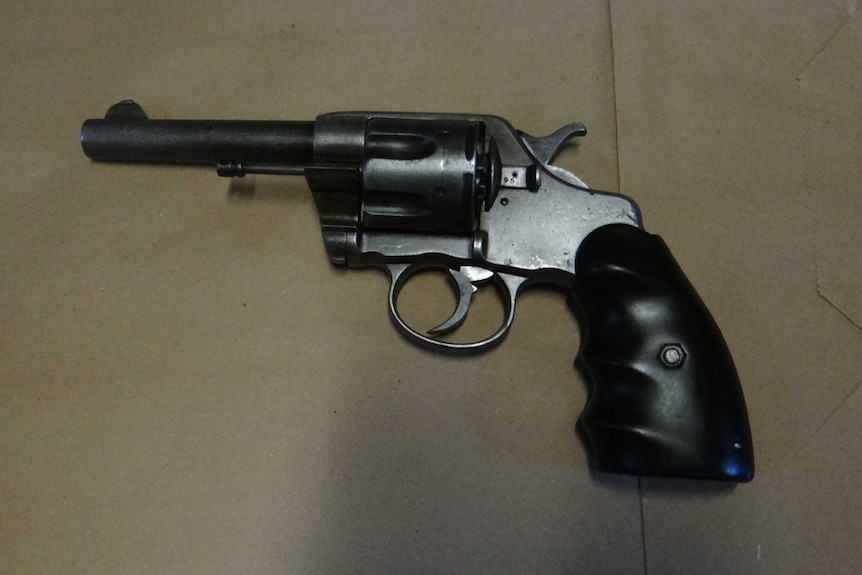 A hand gun