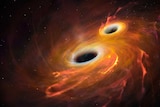 Artist's illustration of two black holes merging.