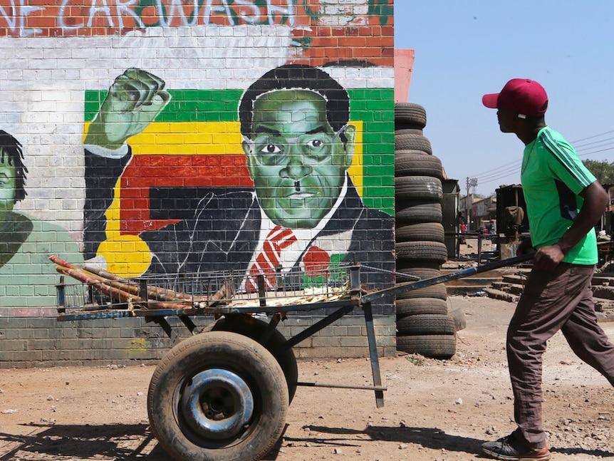 A man pushes an empty cart on a dirt road past a street art portrait of former Zimbabwean President Robert Mugabe.