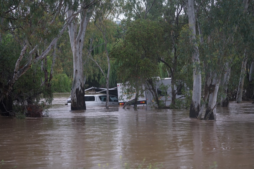 The top half of a caravan is visible above floodwaters through trees. 
