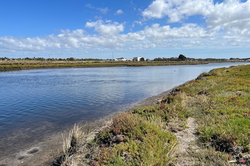 Photo from the banks of the Moyne River near Port Fairy