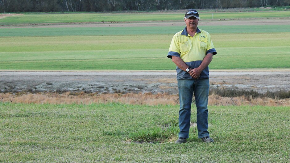 Turf farmer Ken Tyson stands on the grass he grows, despite reducing his water usage by 30 to 40 per cent.