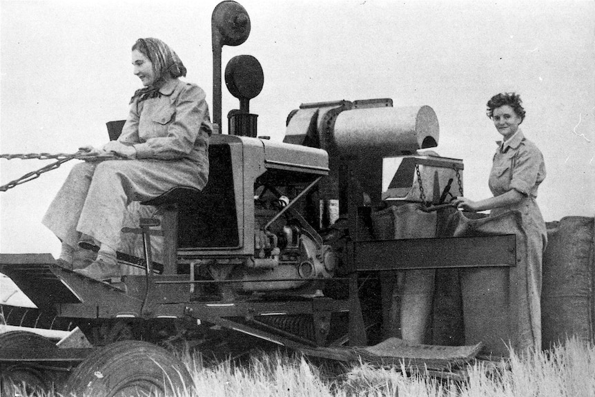 Land Army girls harvesting grain