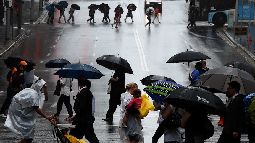 People try to shelter from the rain while crossing a road in the Sydney CBD.