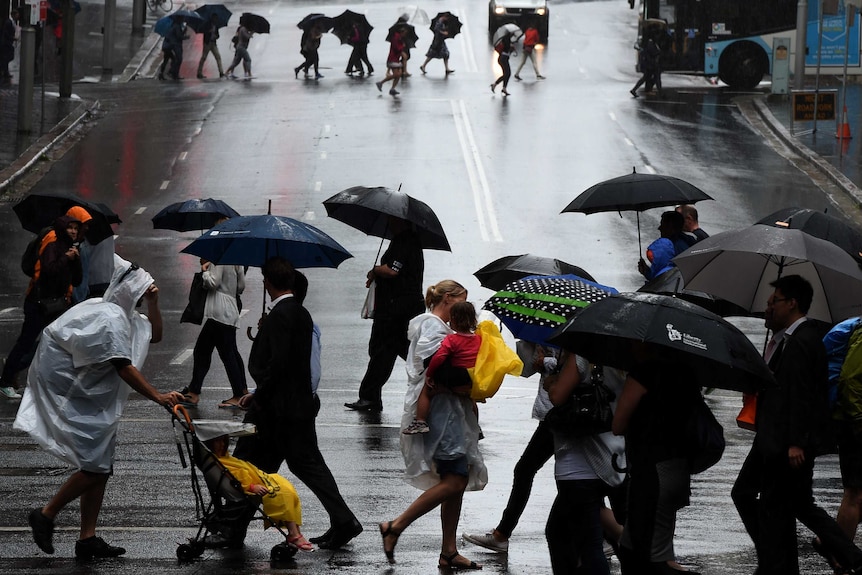 People try to shelter from the rain while crossing a road in the Sydney CBD.