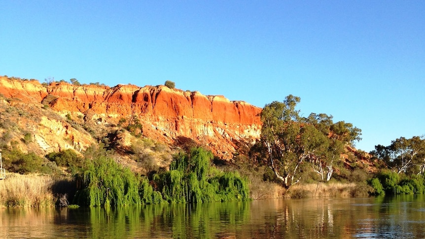 Glassy water along the River Murray, SA.