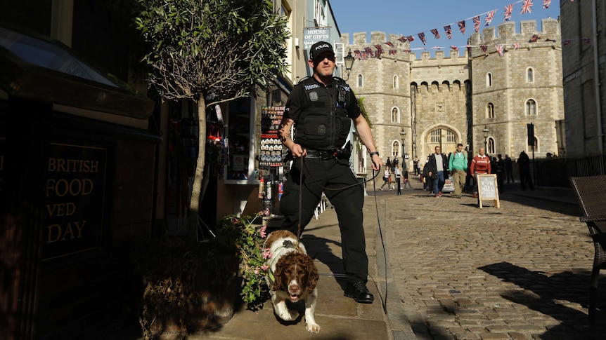 Sniffer dog outside Windsor Castle ahead of Princess Eugenie's wedding