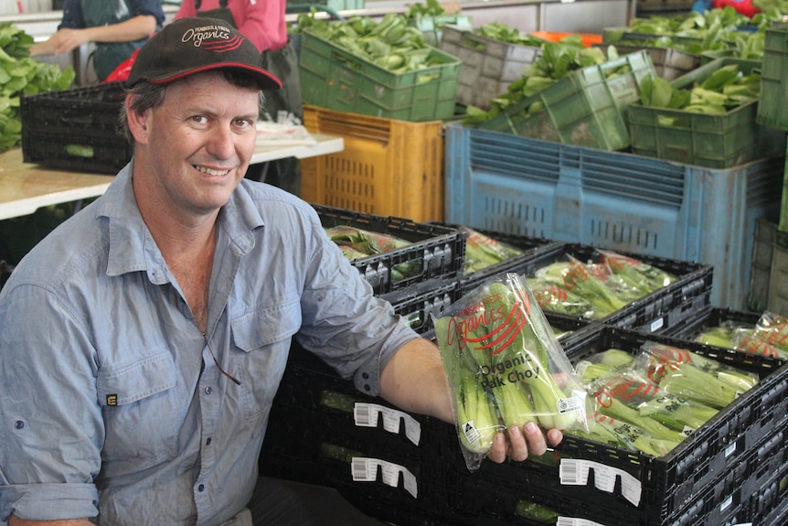 A man in a vegetable sorting shed