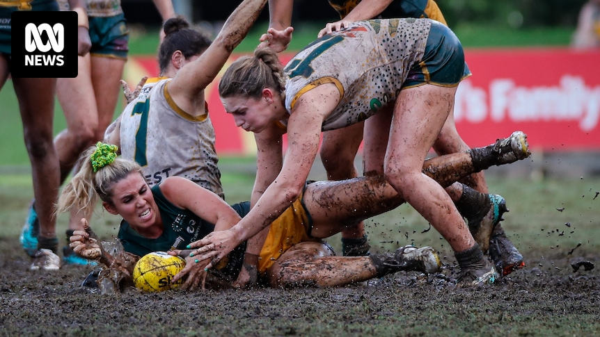 Course pour transformer le « buffle de Darwin » en herbe à temps pour les matchs de la LNR et de l’AFL