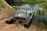 Image of a crocodile trap pulled onto the banks of a river. The trap is empty. 