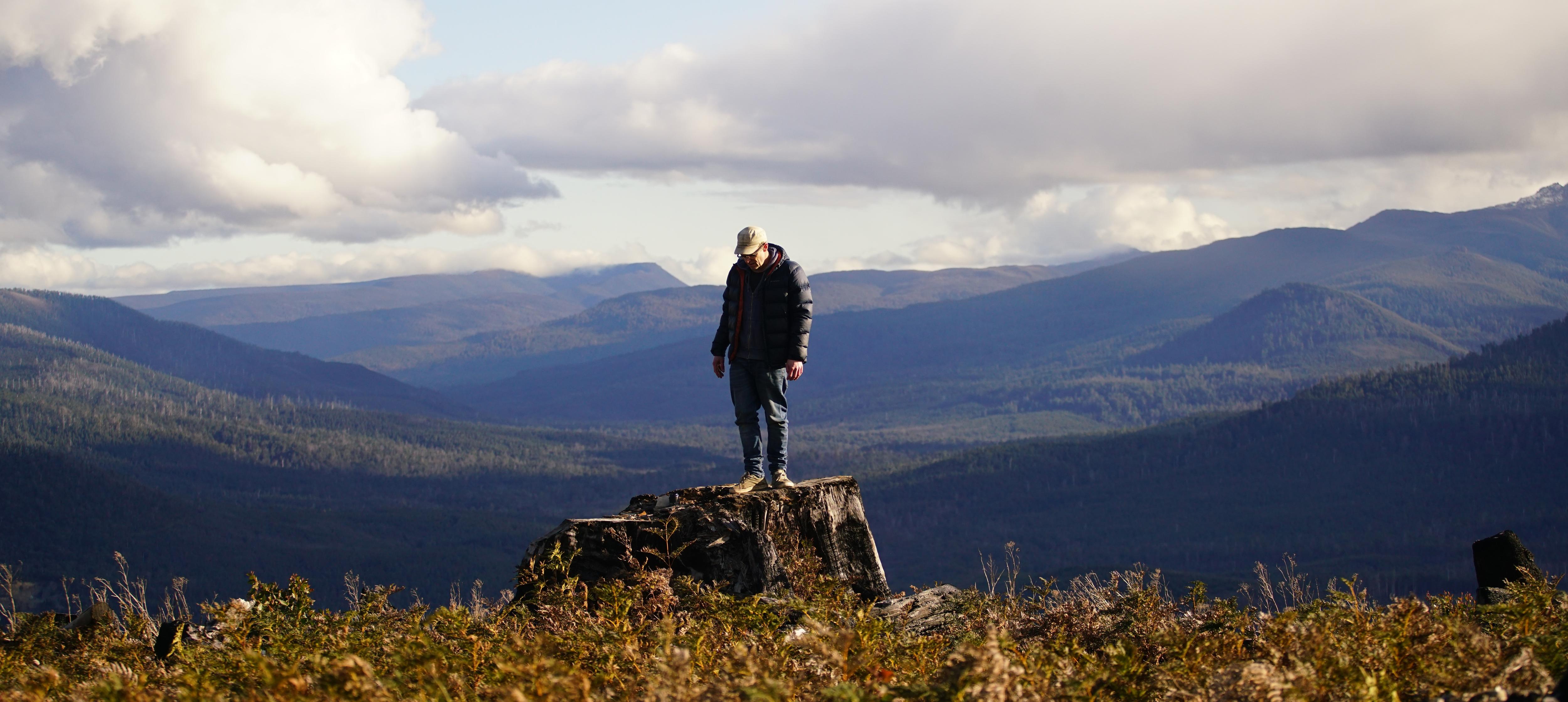A man stands on the stump of a felled tree