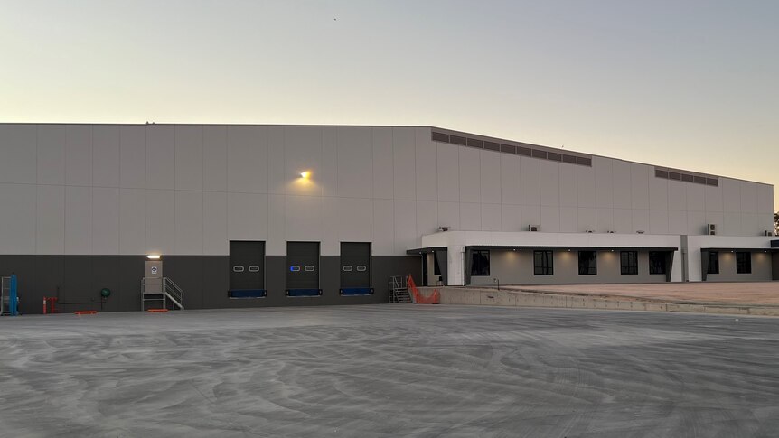 A big modern warehouse for potato packing.
