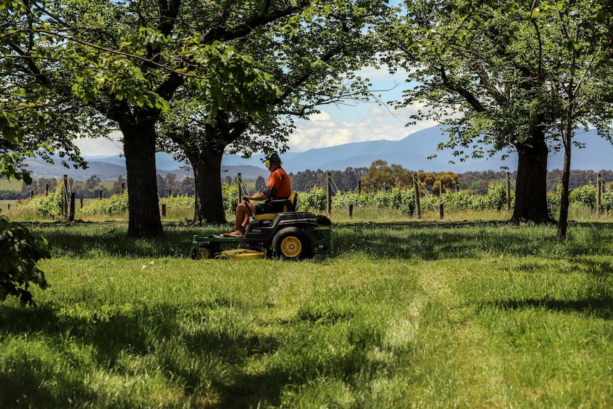 Man in orange high-vis outfit drives green mower across grass beneath trees with mountains in background