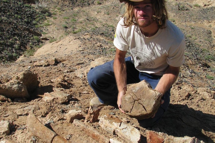 Saurolophus limb and hip bones bones.