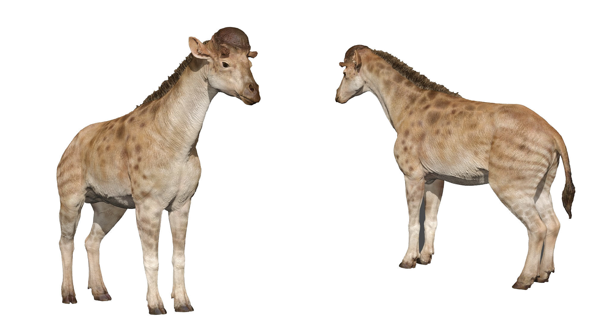 cyfrowa ilustracja prehistorycznych ssaków 