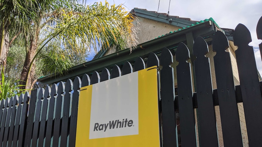 A Ray White For Lease sign on a picket fence.