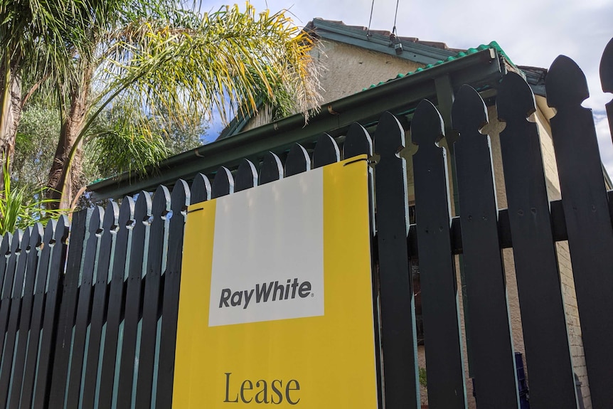 A Ray White For Lease sign on a picket fence.
