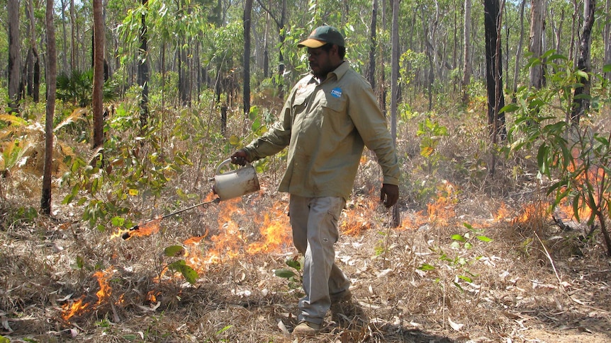 Savanna burning in the Northern Territory