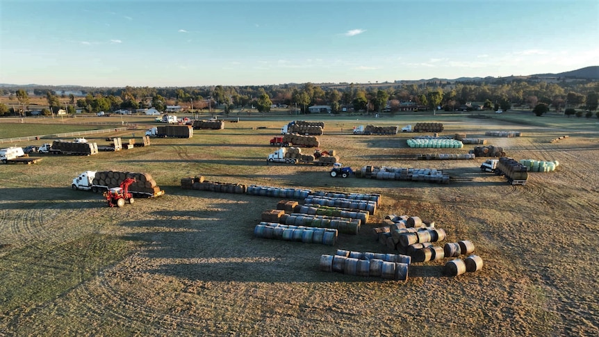 Trucks filled with hay bails sit infront of lines of hay bails with tractors moving bails from trucks to the ground. 