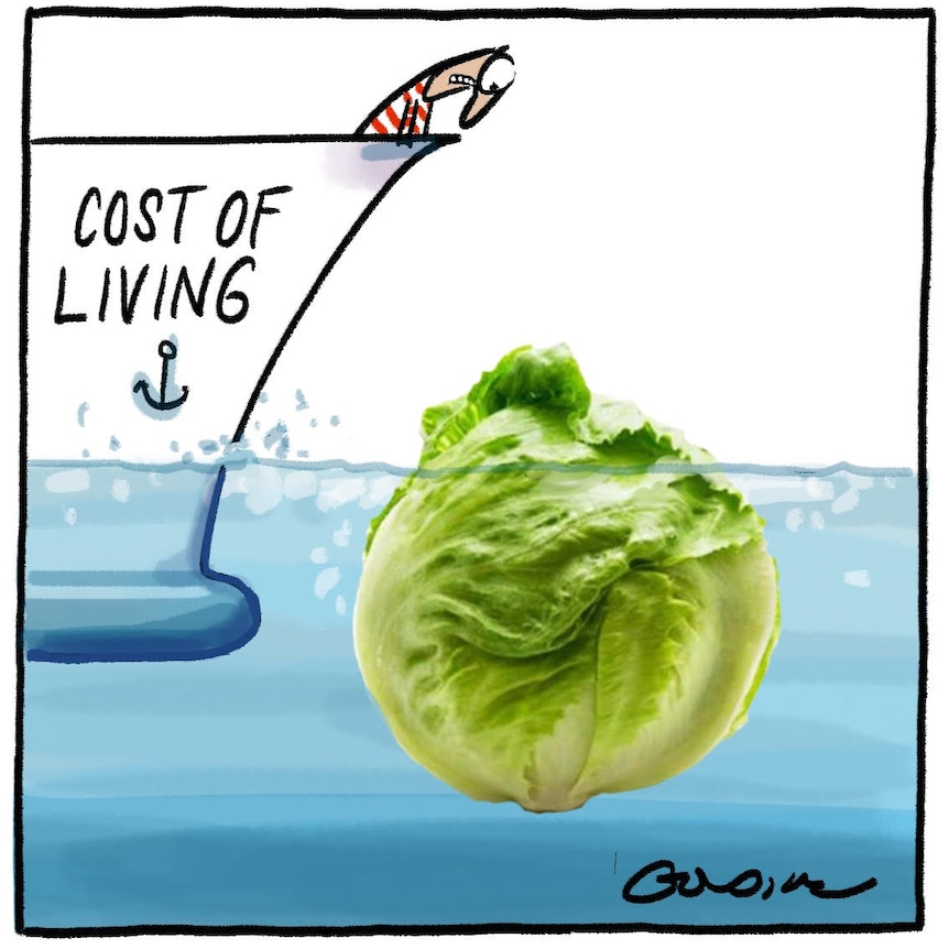 A cartoon figure in a boat about to crash into a large iceberg lettuce with the text Cost of Living. 