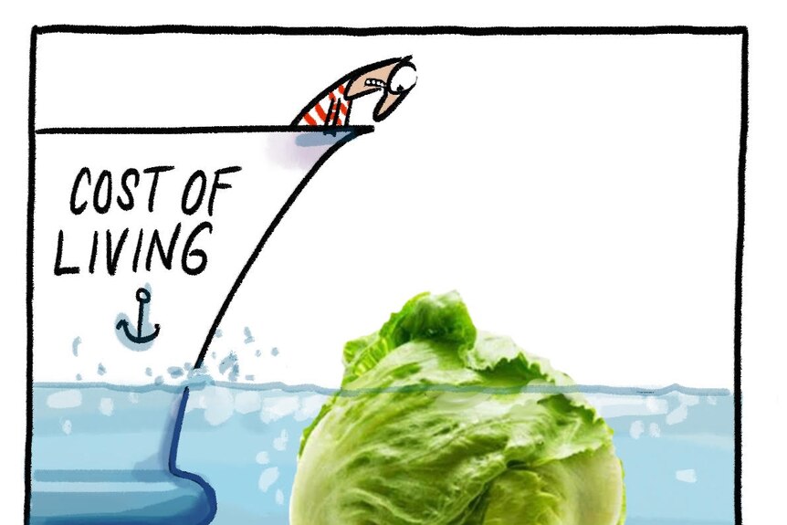 Una figura de dibujos animados en un bote a punto de estrellarse contra una gran lechuga iceberg con el texto Costo de vida. 