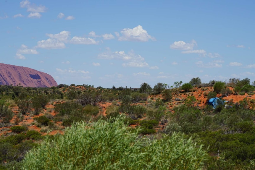 Scene of the crash near Uluru