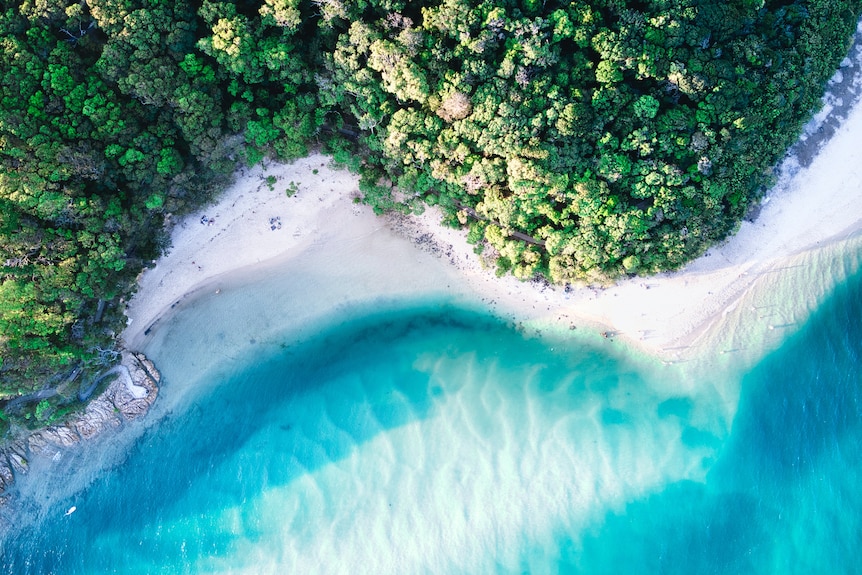 An Aerial image of Tallebudgera Creek, water meets the land, Gold Coast. 