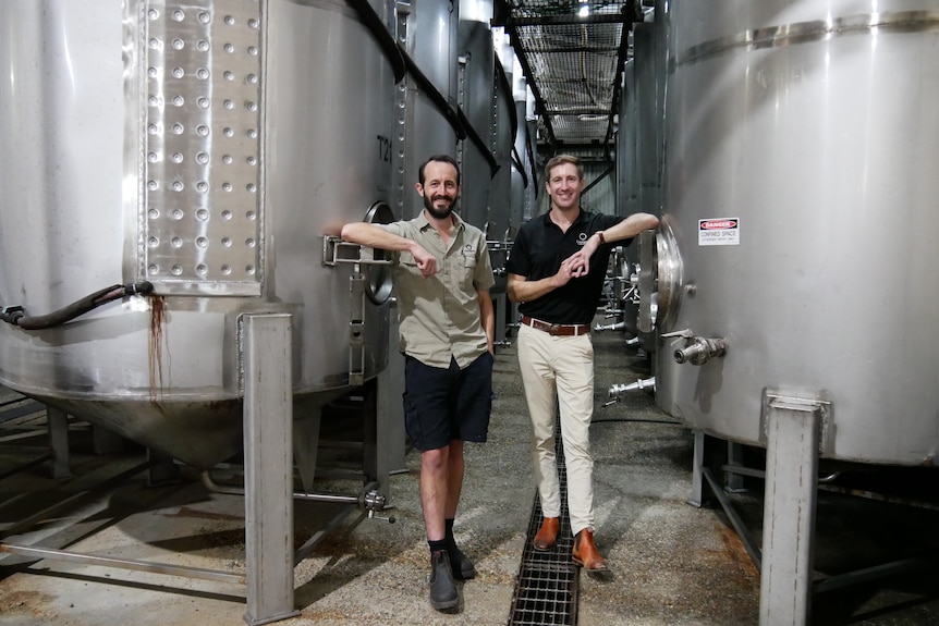 Двое мужчин стоят в цехе по производству вина возле бочек с вином.  Они улыбаются в камеру.