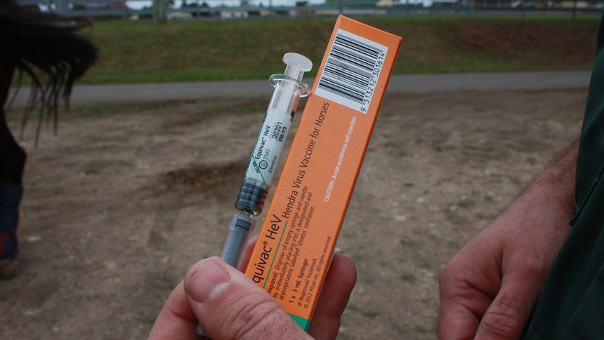 A vet holds a box containing the Hendra vaccine.