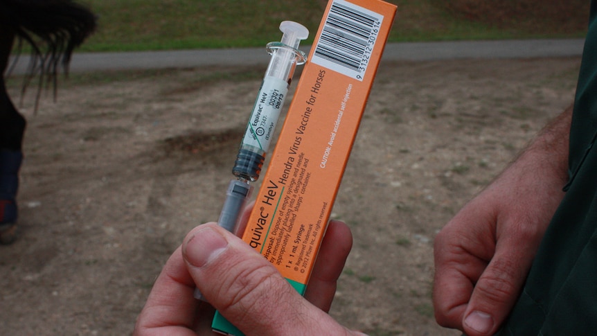 Hand holds a syringe of Hendra virus vaccine for horses.