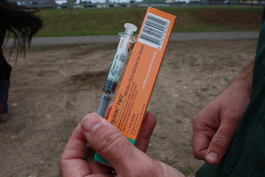 Hand holds a syringe of Hendra virus vaccine for horses.