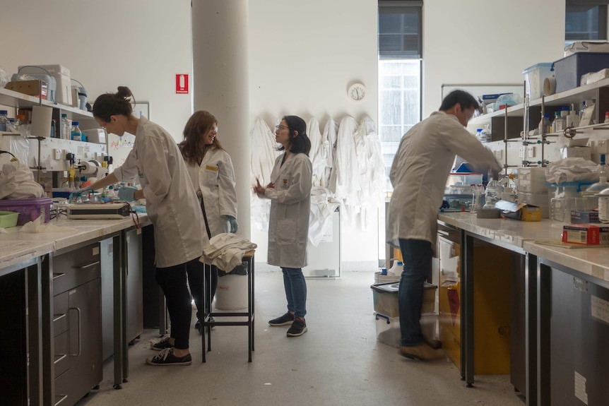 Lab scene at the University of New South Wales