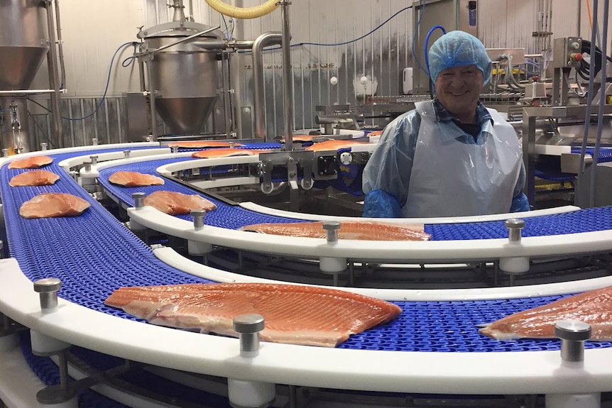 Worker on production line in Tassal salmon processing plant.